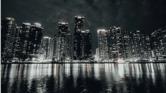 91暗网 - 城市之光：霓虹背后的人间烟火